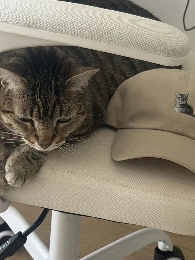 A tabby cat asleep next to a custom cap printed with its portrait