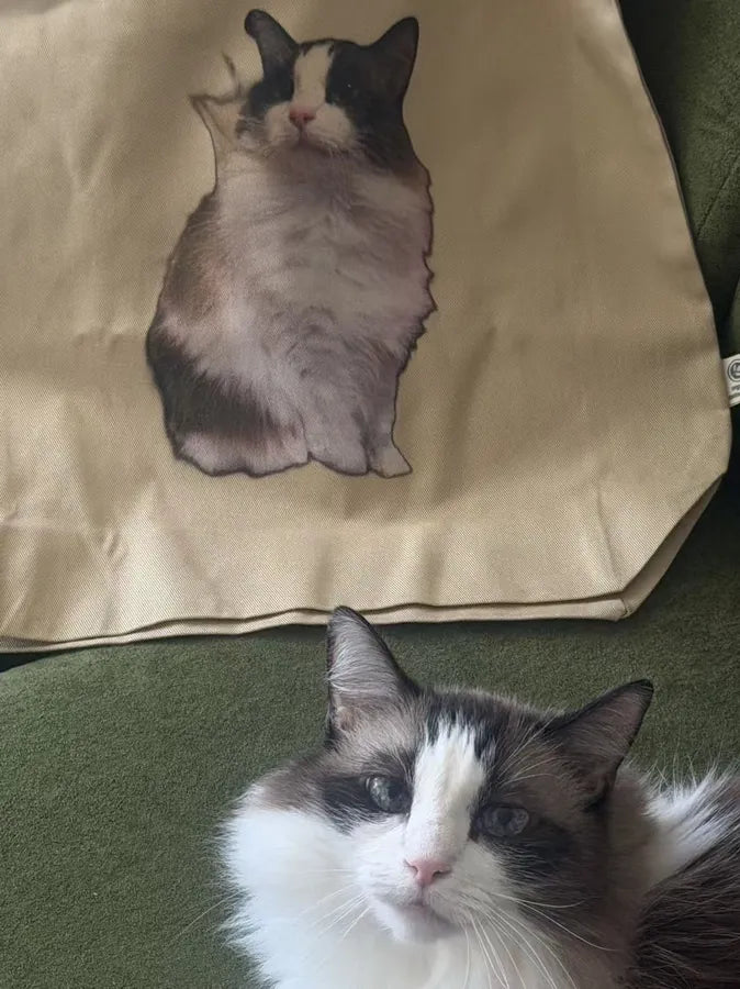 A cat looking up next to a custom tote bag printed with its portrait