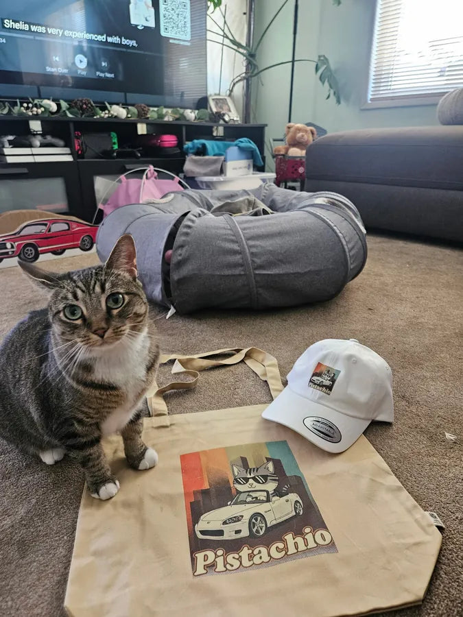 A tabby cat posing with a matching custom tote bag and cap featuring its retro art design