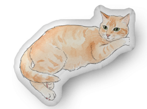 Custom Pillow
